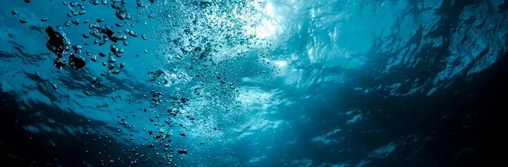 Dipentaerythritol Product Price Adjustment